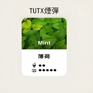【薄荷】TUTX煙彈 TUT通用透明煙彈 一盒三顆 適配SP2/LANA/ILIA一代主機 台灣現貨