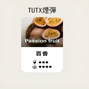 【百香果】TUTX煙彈 TUT通用透明煙彈 一盒三顆 適配SP2/LANA/ILIA一代主機 台灣現貨