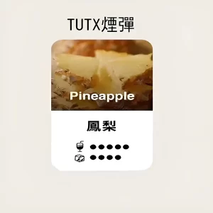 【鳳梨】TUTX煙彈 TUT通用透明煙彈 一盒三顆 適配SP2/LANA/ILIA一代主機 台灣現貨