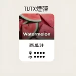 【西瓜口味】TUTX煙彈 TUT通用透明煙彈 一盒三顆 適配SP2/LANA/ILIA一代主機 台灣現貨