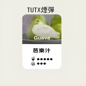【芭樂汁】TUTX煙彈 TUT通用透明煙彈 一盒三顆 適配SP2/LANA/ILIA一代主機 台灣現貨