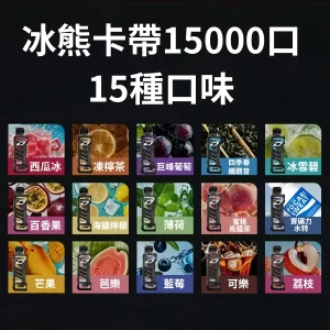 【15種口味】冰熊卡帶煙彈15000口15ML | ZGAR PROJECT-D電子煙煙彈 可拆卸 磁吸換彈 | 大容量續航電子菸設備