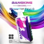 【12種口味】Bang King 60000口一次性電子煙|5檔調節涼度 極致冰爽超長續航體驗 王嘉爾同款 台灣現貨
