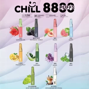 【10種口味】CHILL 拋棄式電子菸 8800口_8mL大容量煙油  一次性免充電 台灣現貨