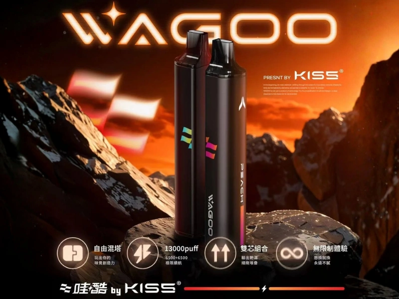 【12種口味】哇酷WAGOO & KIS5 6500口一次性電子菸雙芯雙倉組合 自由磁性混搭雙口味拋棄式小煙