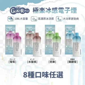 【8種口味任選】極樂GOKURAKU 12000口 冰感一次性電子菸|10ml超大容量、13W大功率|高CP值拋棄式電子煙台灣現貨
